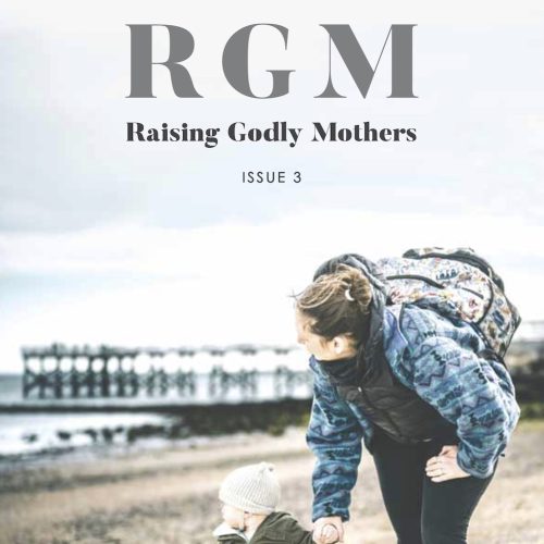 RGM Issue 3